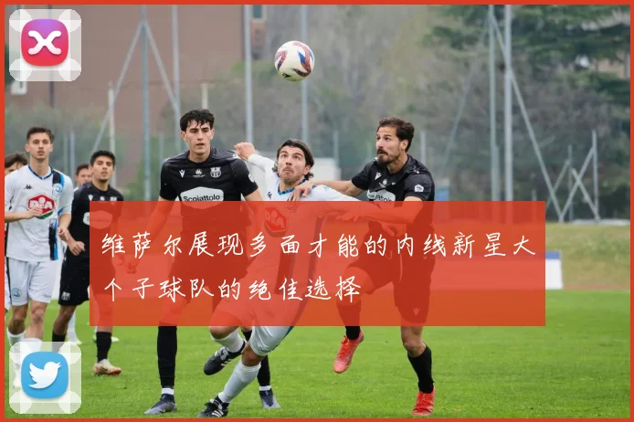 维萨尔展现多面才能的内线新星大个子球队的绝佳选择