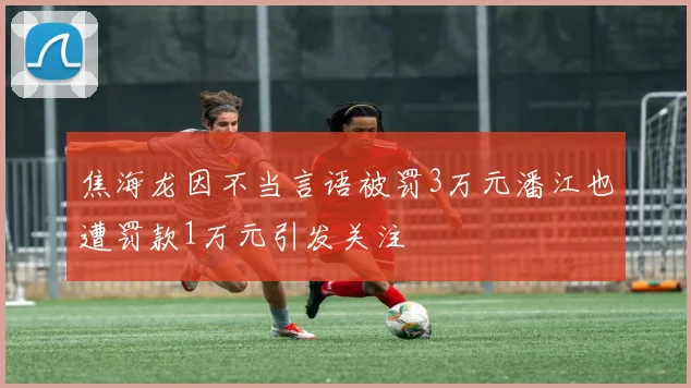 焦海龙因不当言语被罚3万元潘江也遭罚款1万元引发关注