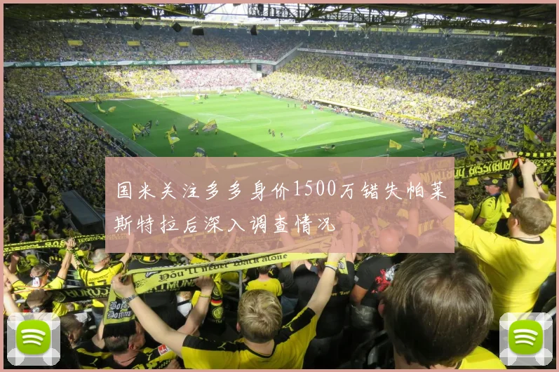 国米关注多多身价1500万错失帕莱斯特拉后深入调查情况
